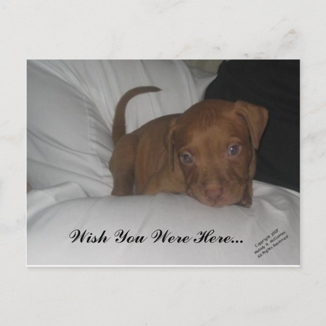 Ich wünschte, du wärest hier.. postkarte (Vorderseite)