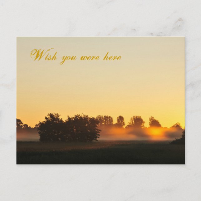Ich wünschte, du wärest hier postkarte (Vorderseite)
