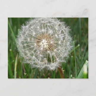 Ich wünschte, du wärest hier postkarte