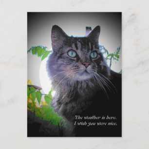 Ich wünschte, du wärest nett postkarte