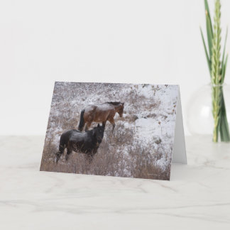 Ich wünschte, wir hätten Weihnachten mit dir verbr