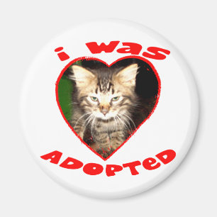 Ich wurde adoptiert magnet
