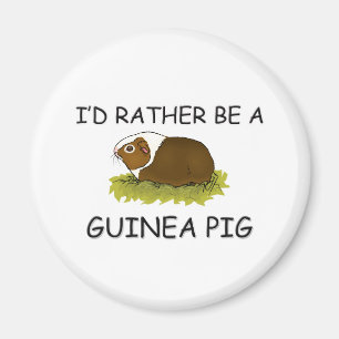 Ich würde eher ein Meerschweinchen sein Magnet