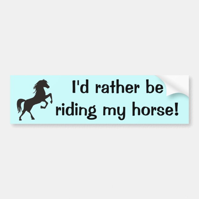 Ich würde vielmehr mein Pferd reiten! Autoaufkleber (Vorne)