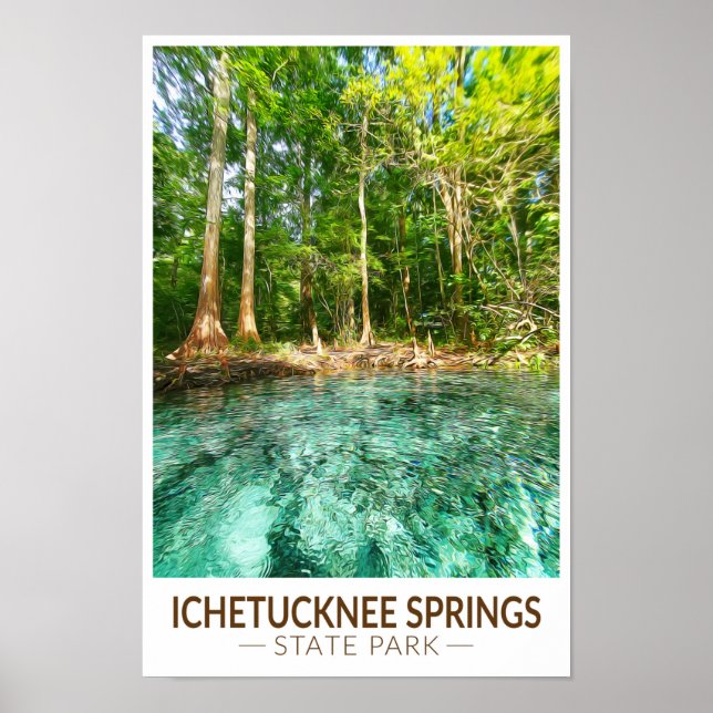 Ichetucknee Staat Park Florida Poster (Vorne)