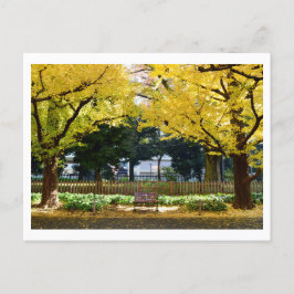 Icho Namiki (Ginkgo Avenue): Tokio, Japan Postkarte