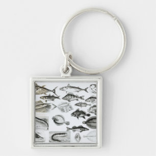 Ichthyologie-knöcherne Fische Schlüsselanhänger
