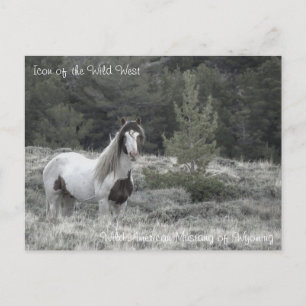Icône du Far West - Carte postale
