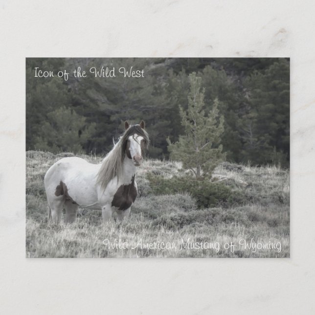 Icône du Far West - Carte postale (Devant)