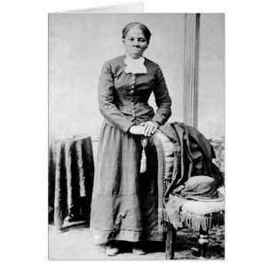 Icônes de l'histoire noire : Harriet Tubman, Droit