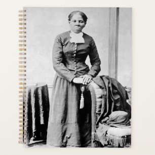 Icônes de l'histoire noire : Harriet Tubman, Droit