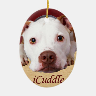 iCuddle Pitbull Keramik Ornament