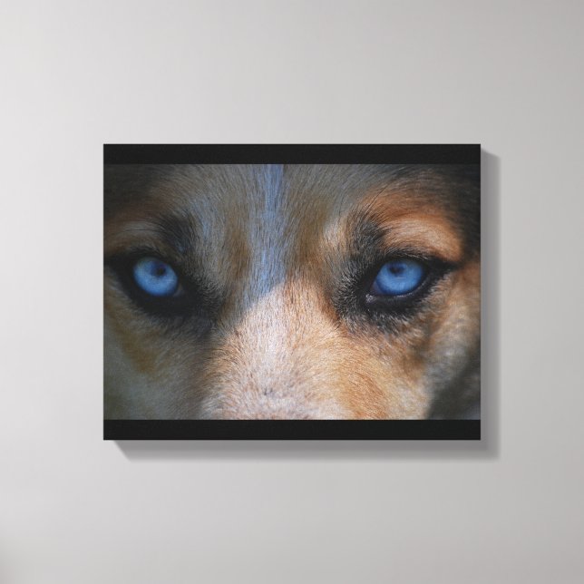 Icy Blue Canine Eyes Leinwanddruck (Vorderseite)