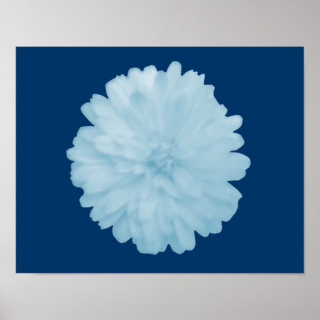 Icy Blue Marigold Poster (Vorne)