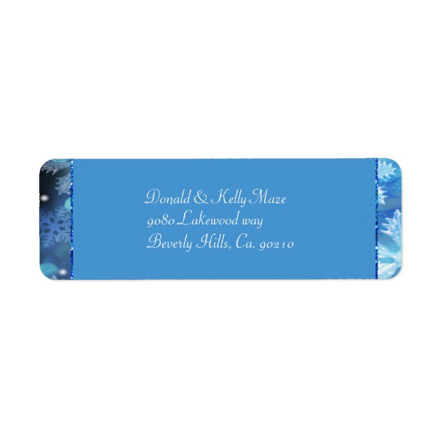 Icy Blue Winter Wonderland Wedding (Vorne)