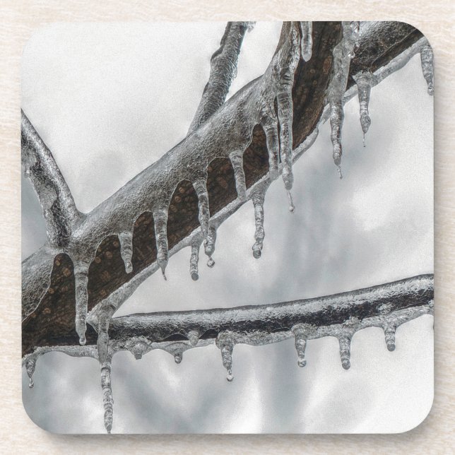Icy Branch Getränkeuntersetzer (Vorderseite)