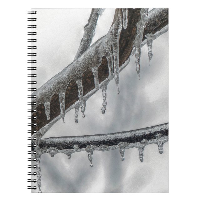 Icy Branch Notizblock (Vorderseite)