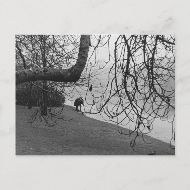 Icy Lake Postkarte (Vorderseite)