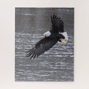 Icy Landung: Bald-Adler-Puzzle