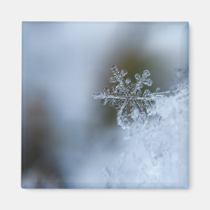 Icy Snowflake Magnet