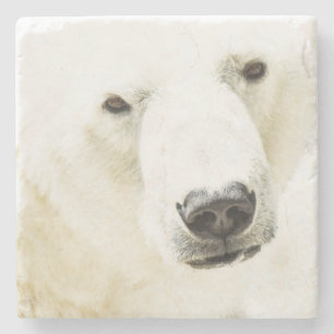 Icy Stare of a Polar Bären Steinuntersetzer