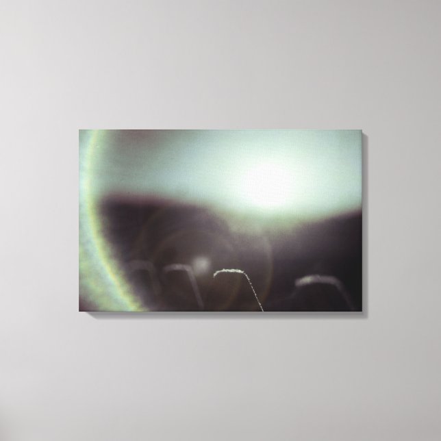 Icy Sun von Alexandra Cook Leinwanddruck (Vorderseite)