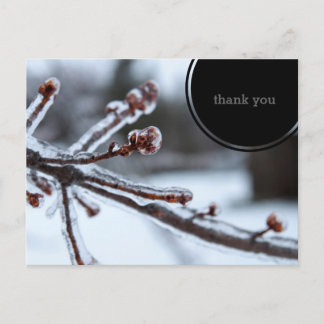 Icy Tree Branch Thank You Postkarte