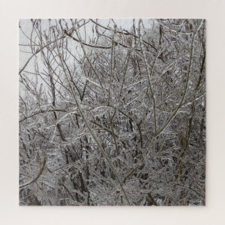Icy Twigs