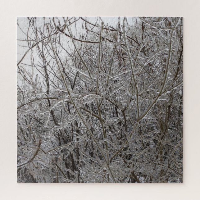 Icy Twigs (Vertikal)