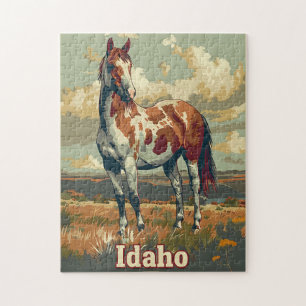 Idaho Appaloosa Pferd