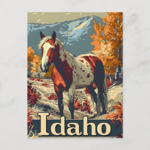 Idaho Appaloosa Postkarte