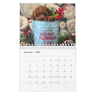 Idaho Jewels Poodles | Calendrier 2026