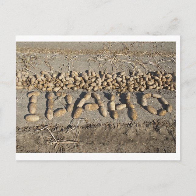 Idaho Kartoffeln Postkarte (Vorderseite)