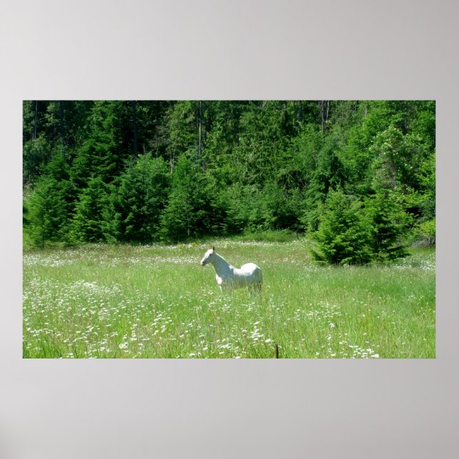 Idaho Meadow - Print Poster (Vorne)