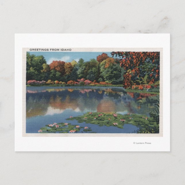 Idaho Seeszene mit Lily Pads Idaho Postkarte (Vorderseite)