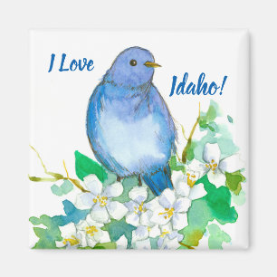 Idaho Souvenir Mountain Bluebird Syringa Magnet