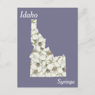 Idaho Staat Blume Collage Map Postkarte