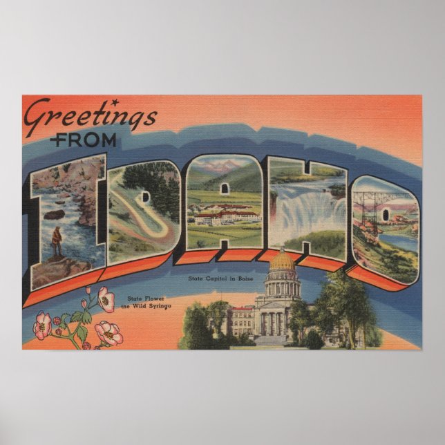 Idaho (Staat Hauptstadt/Blume) - Grosser Brief Poster (Vorne)