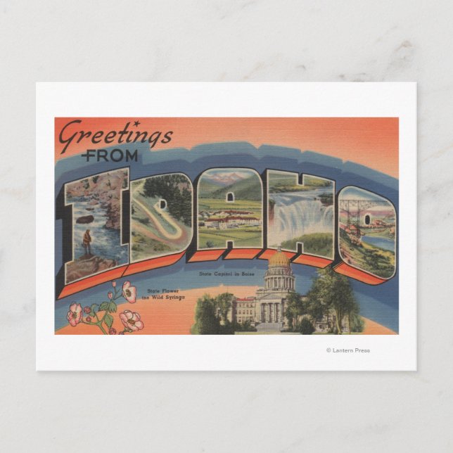 Idaho (Staat Hauptstadt/Blume) - Grosser Brief Postkarte (Vorderseite)