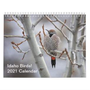 Idaho Vögel! Kalender 2021