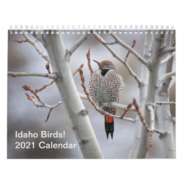 Idaho Vögel! Kalender 2021 (Titelbild)