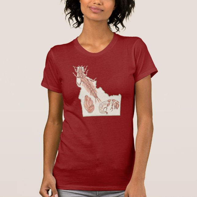 Idaho Wasserinsekten  T-Shirt (Vorderseite)
