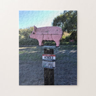 Idaho Wonder Pig, Funny