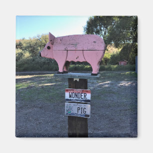 Idaho Wonder Pig, Funny Magnet