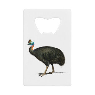 Idée cadeau de cassowé sud