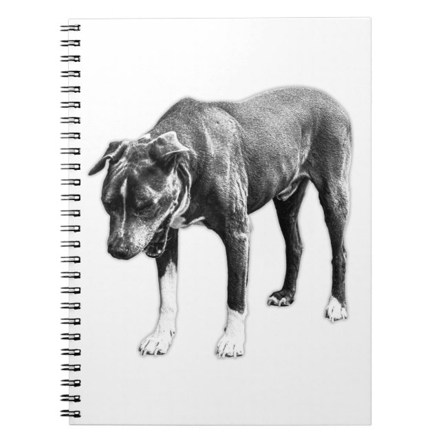 Ideen vor Kaffee - Canine Studie Notizblock (Vorderseite)