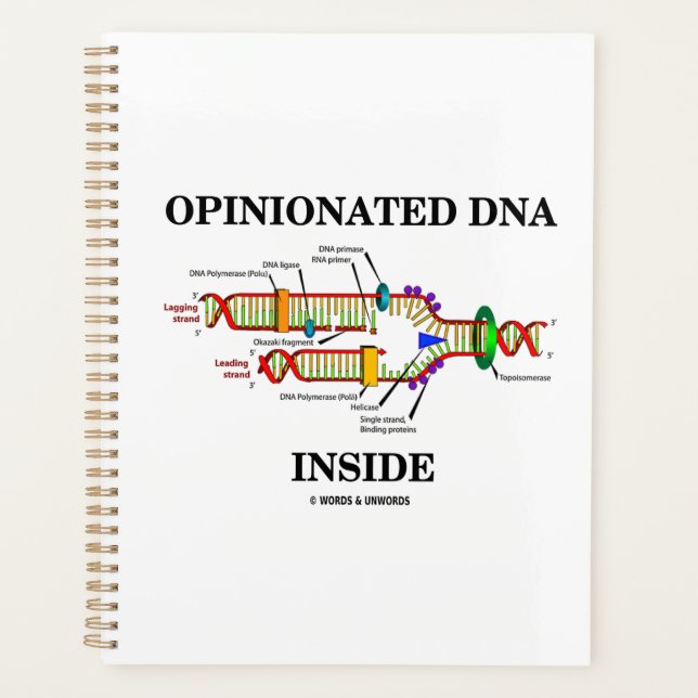 Identifizierter DNA-Inside-DNA-Replikation Spaß Planer (Vorderseite)