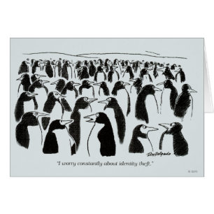 Identitäts-Diebstahl