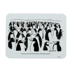 Identitäts-Diebstahl Magnet