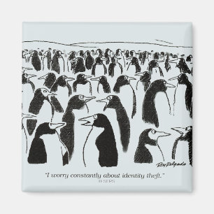 Identitäts-Diebstahl Magnet